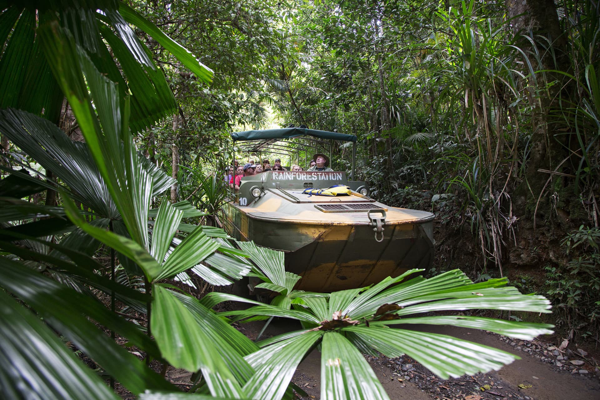Full-Day Kuranda Tour with Skyrail Cableway, Scenic Railway, Rainforestation and Butterfly Sanctuary - main image